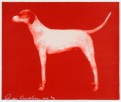 Dog Small Red